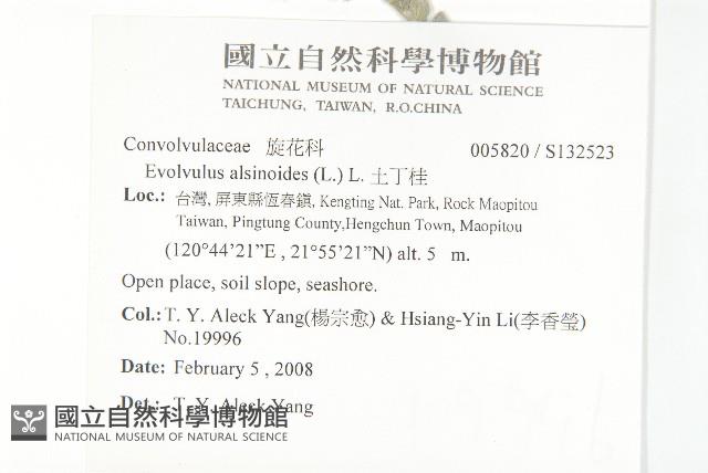 土丁桂藏品圖，第2張