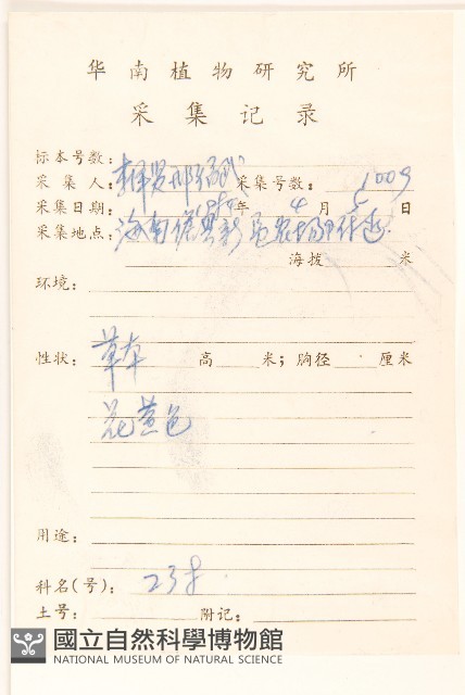 長柄菊藏品圖，第2張
