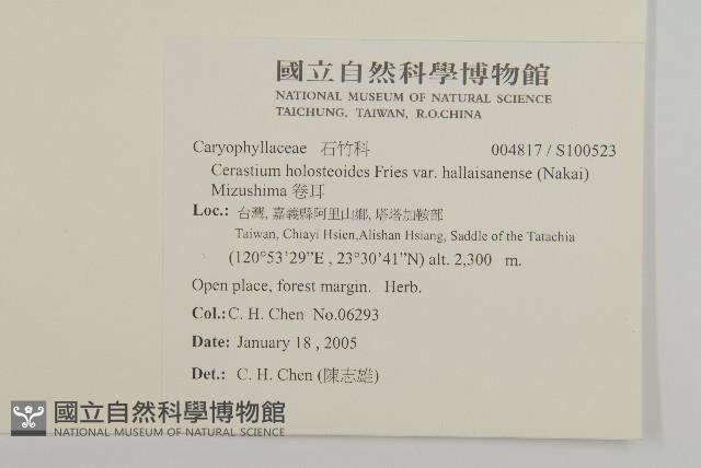 卷耳藏品圖，第2張