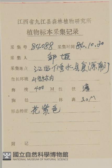 白朮藏品圖，第2張