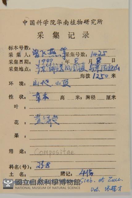 煙管草藏品圖，第2張