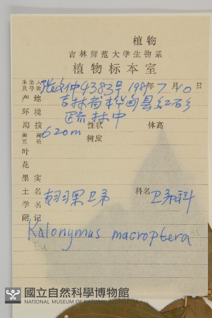 黃瓢子藏品圖，第2張