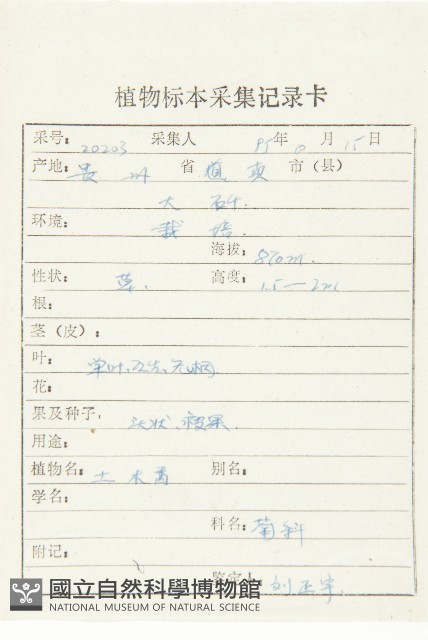 土木香藏品圖，第2張