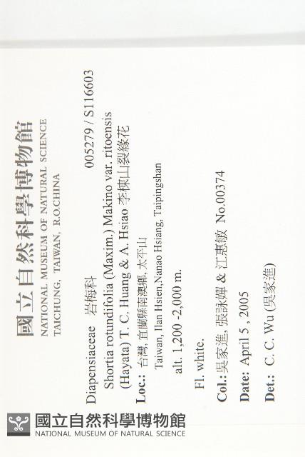 李棟山裂緣花藏品圖，第2張