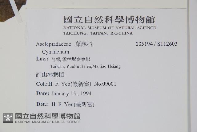 登錄號:S112603藏品圖，第2張