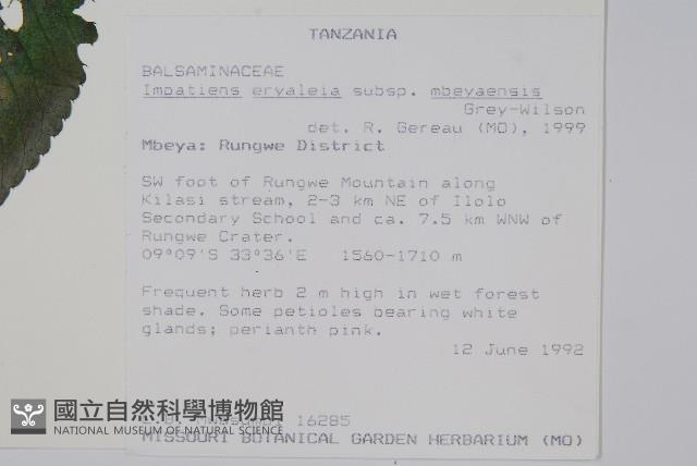 登錄號:S100603藏品圖，第2張