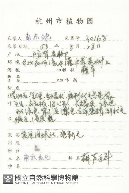 青牛膽藏品圖，第2張