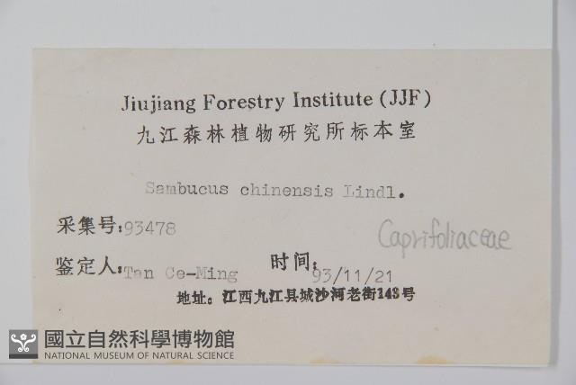 冇骨消藏品圖，第2張