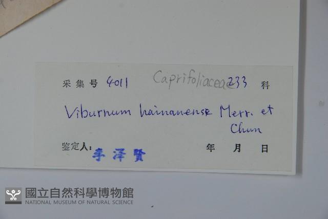 海南莢迷藏品圖，第2張