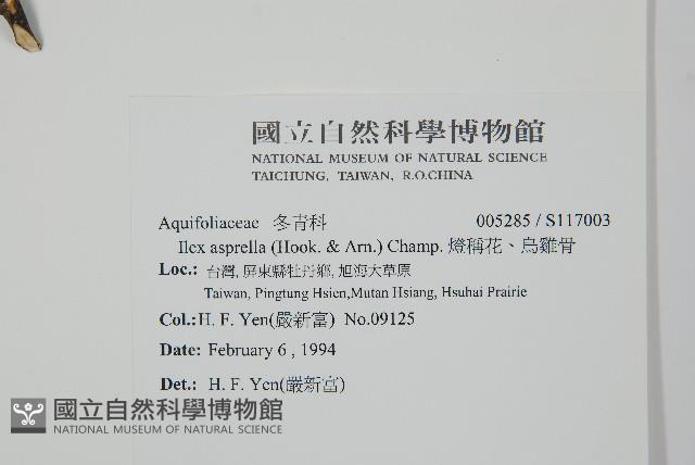 燈稱花、烏雞骨藏品圖，第2張