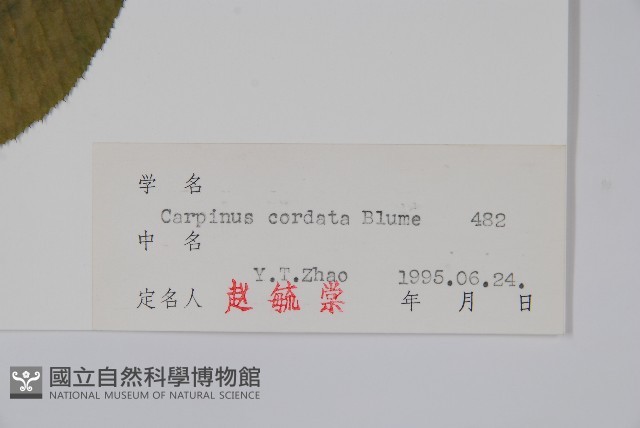 千金榆藏品圖，第2張