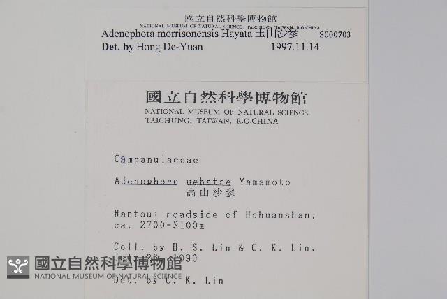 玉山沙參藏品圖，第2張