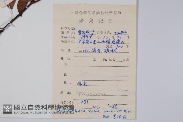 Sour creeper Collection Image, Figure 2, Total 2 Figures