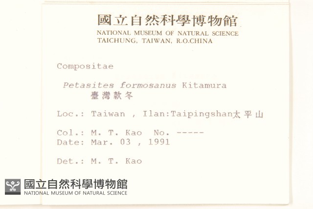 臺灣款冬藏品圖，第2張