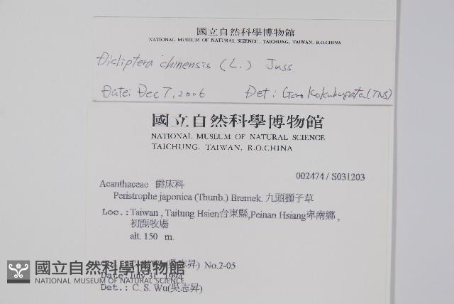 華九頭獅子草藏品圖，第2張