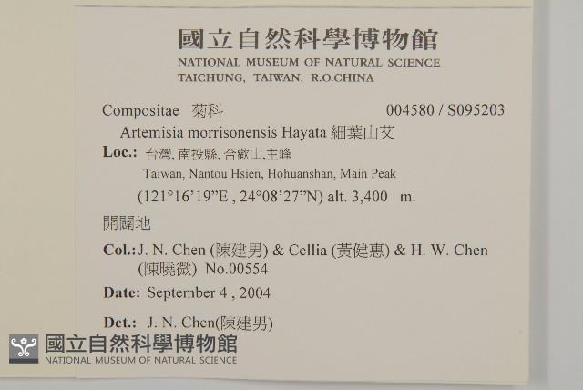 高山艾藏品圖，第2張