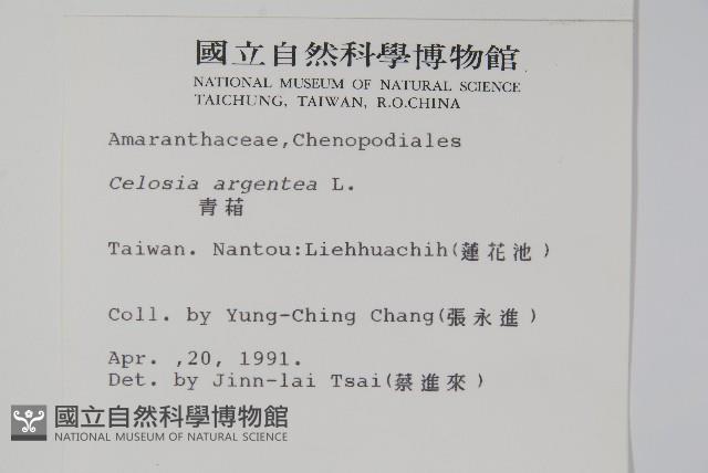 青葙藏品圖，第2張