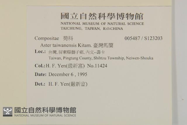 臺灣馬蘭藏品圖，第2張