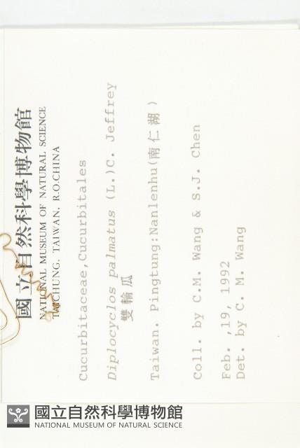 雙輪瓜藏品圖，第2張