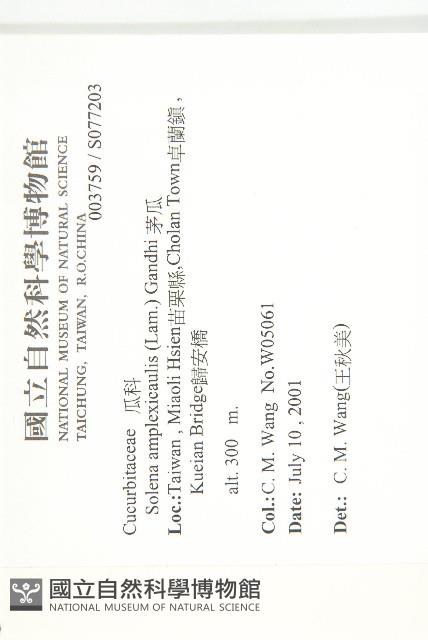 茅瓜藏品圖，第2張