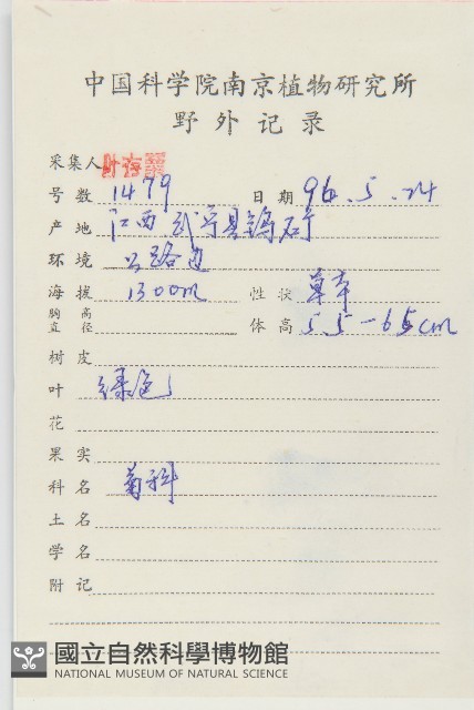黃鵪菜藏品圖，第2張