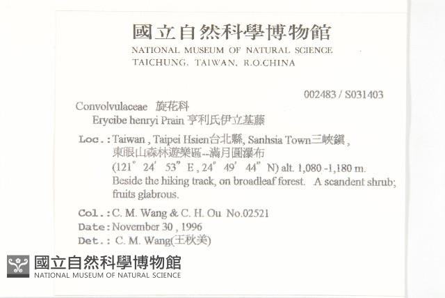 亨利氏伊立基藤藏品圖，第2張