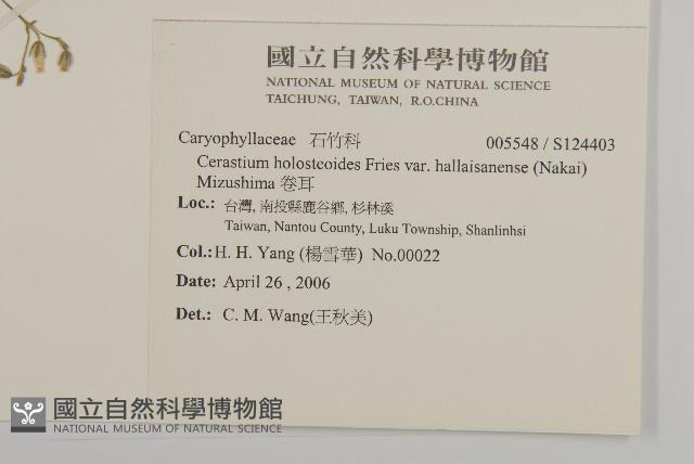 卷耳藏品圖，第2張