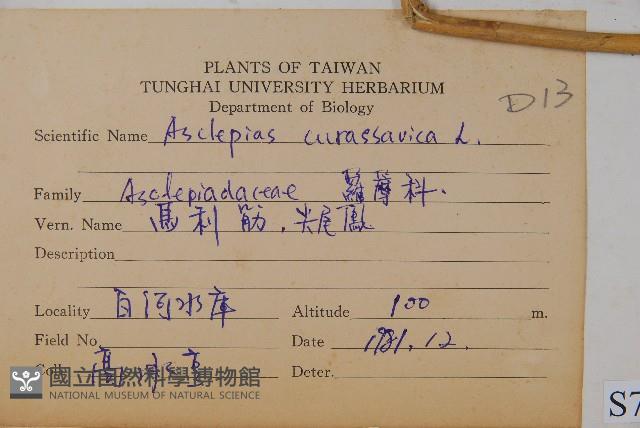 尖尾鳳、馬利筋藏品圖，第2張