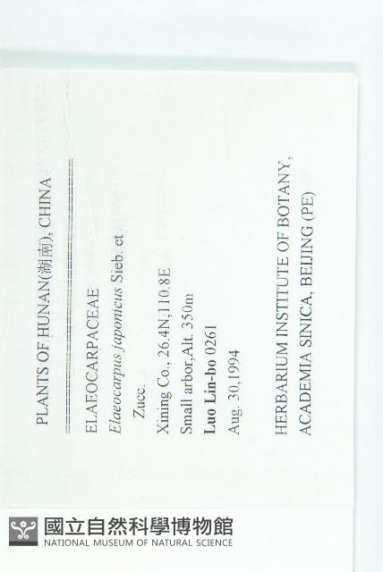 薯豆藏品圖，第2張