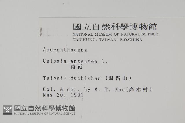 青葙藏品圖，第2張