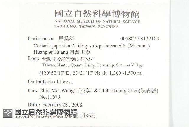 臺灣馬桑藏品圖，第2張