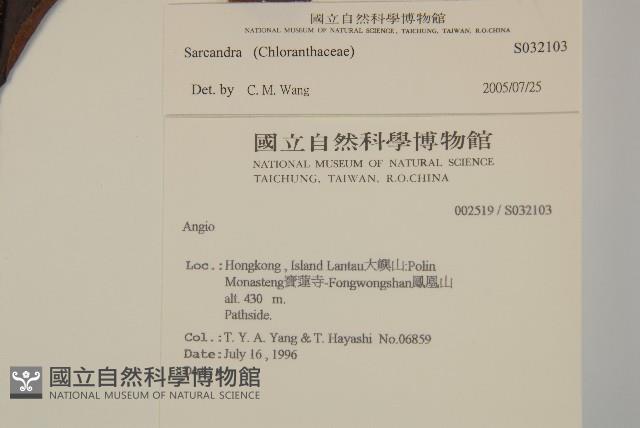 登錄號:S032103藏品圖，第2張