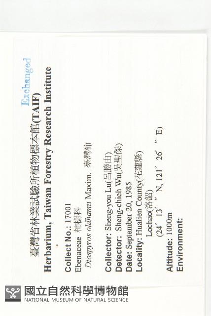 俄氏柿藏品圖，第2張