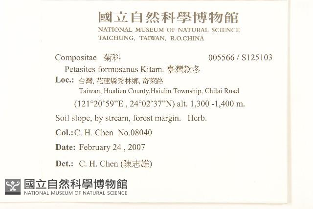 臺灣款冬藏品圖，第2張