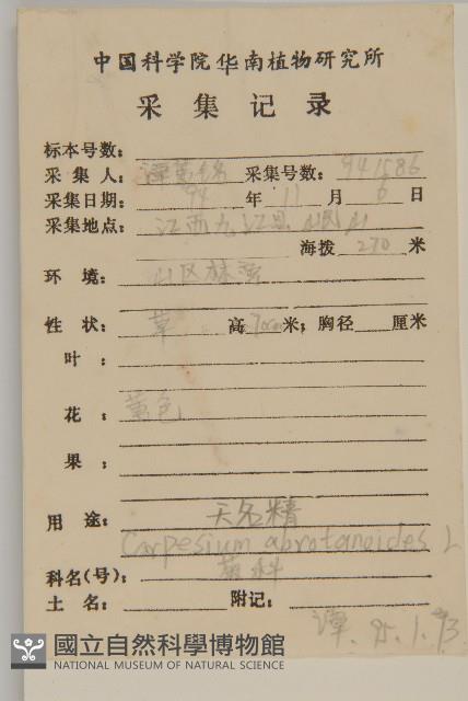 天名精藏品圖，第2張