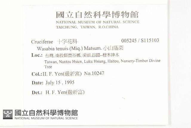 Accession Number:S115103 Collection Image, Figure 2, Total 2 Figures