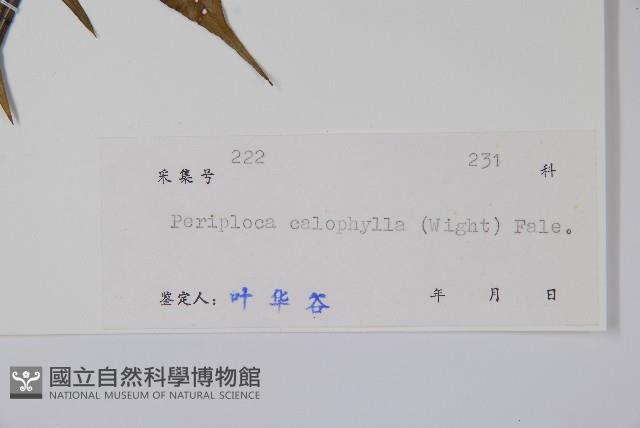 Accession Number:S045103 Collection Image, Figure 2, Total 2 Figures