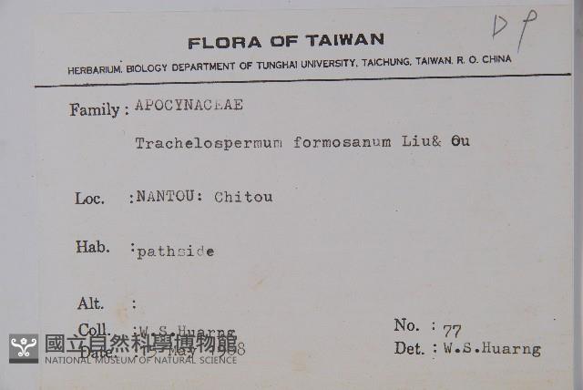 臺灣絡石藏品圖，第2張