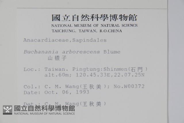 山檨子藏品圖，第2張