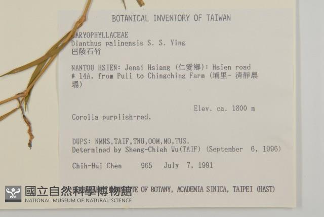 巴陵石竹藏品圖，第2張