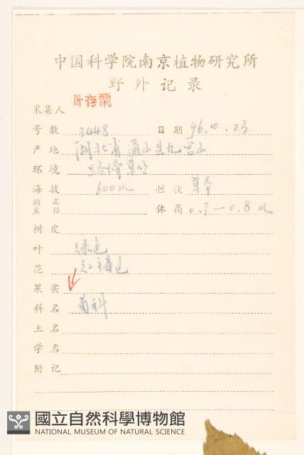 饑荒草藏品圖，第2張