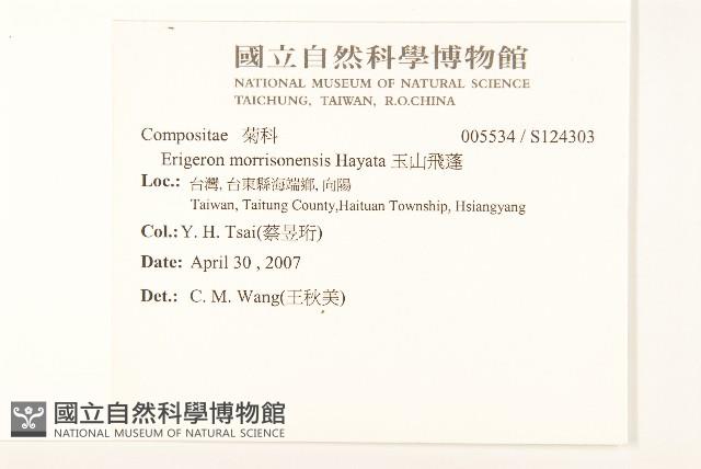 玉山飛蓬藏品圖，第2張