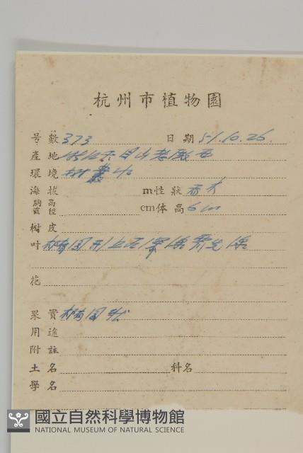 阿里山鬼督郵藏品圖，第2張