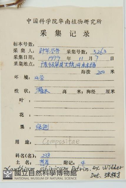 蒼耳藏品圖，第2張