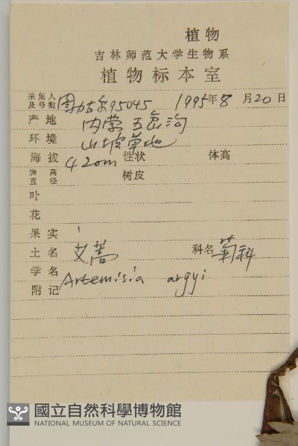 Accession Number:S027303 Collection Image, Figure 2, Total 3 Figures