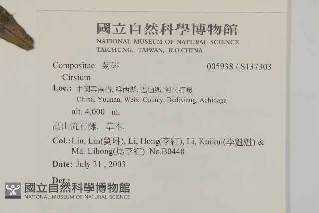 登錄號:S137303藏品圖，第2張