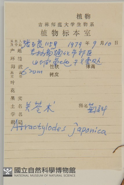 關蒼朮藏品圖，第2張