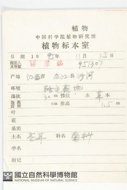 蒼耳藏品圖，第2張