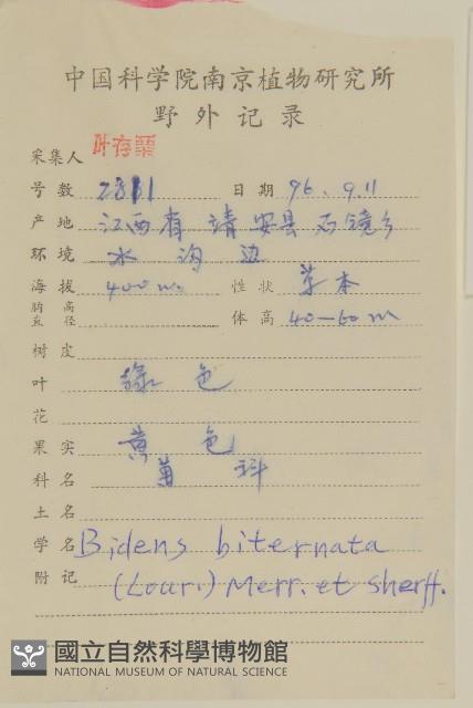 鬼針舅藏品圖，第2張