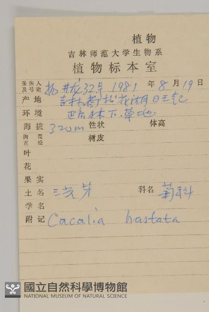 山尖子藏品圖，第2張